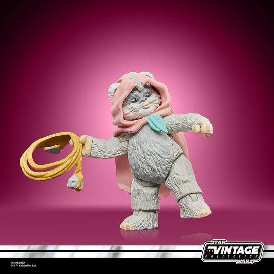 Hasbro - Star Wars The Vintage Collection - Wicket and Kneesaa 3 3/4-Inch Action Figures