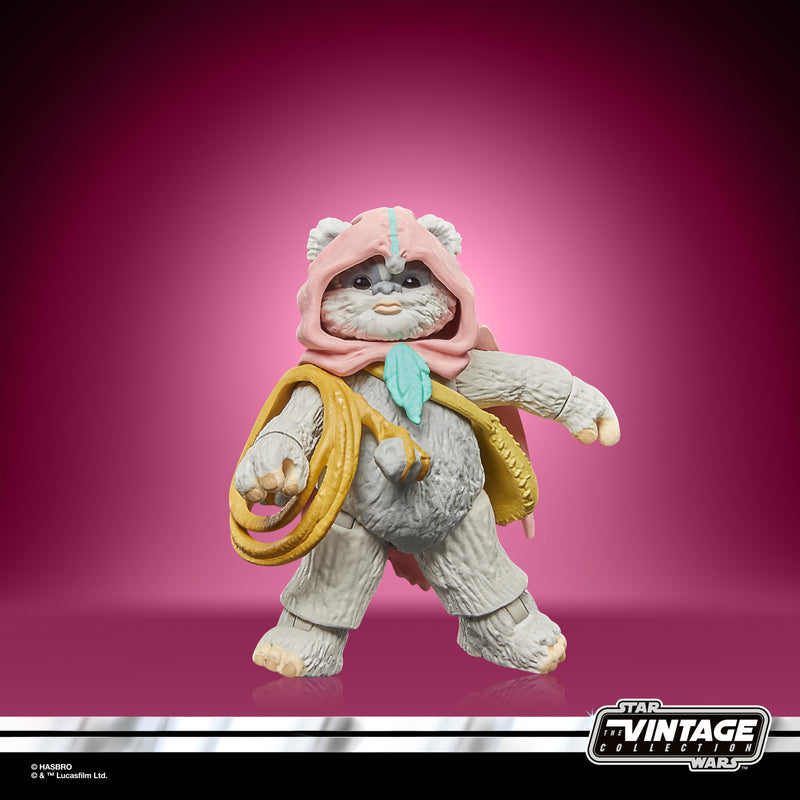 Load image into Gallery viewer, Hasbro - Star Wars The Vintage Collection - Wicket and Kneesaa 3 3/4-Inch Action Figures
