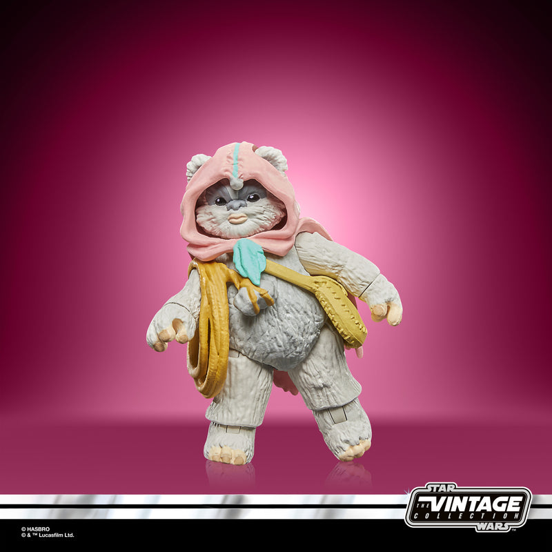 Load image into Gallery viewer, Hasbro - Star Wars The Vintage Collection - Wicket and Kneesaa 3 3/4-Inch Action Figures
