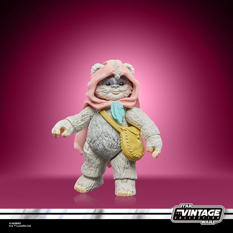Load image into Gallery viewer, Hasbro - Star Wars The Vintage Collection - Wicket and Kneesaa 3 3/4-Inch Action Figures
