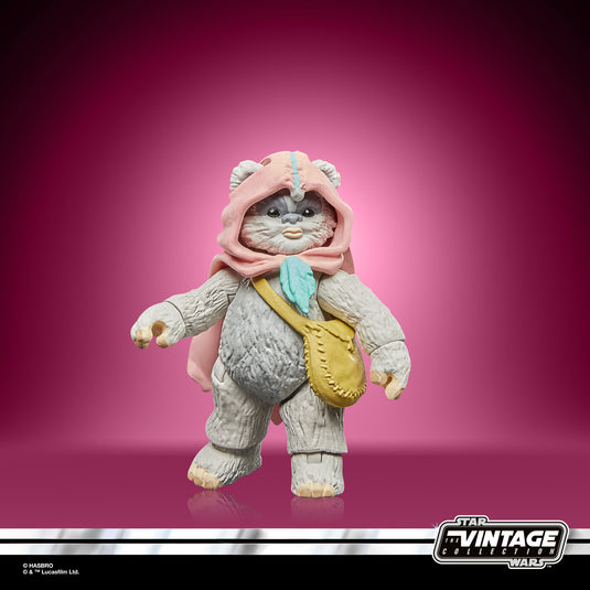 Hasbro - Star Wars The Vintage Collection - Wicket and Kneesaa 3 3/4-Inch Action Figures