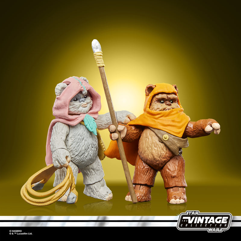 Load image into Gallery viewer, Hasbro - Star Wars The Vintage Collection - Wicket and Kneesaa 3 3/4-Inch Action Figures
