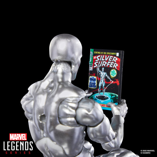 Marvel Legends Series - Silver Surfer