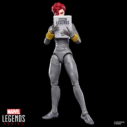 Marvel Legends Series - Black Widow
