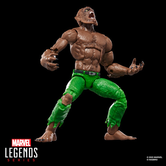Marvel Legends - Werewolf By Night