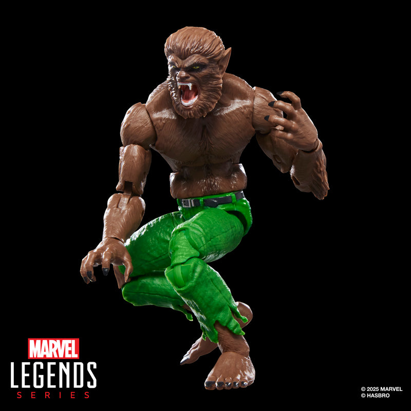 Load image into Gallery viewer, Marvel Legends - Werewolf By Night
