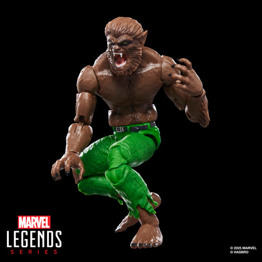Marvel Legends - Werewolf By Night