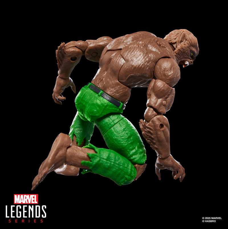 Load image into Gallery viewer, Marvel Legends - Werewolf By Night
