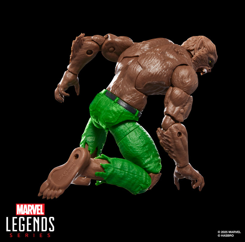 Load image into Gallery viewer, Marvel Legends - Werewolf By Night

