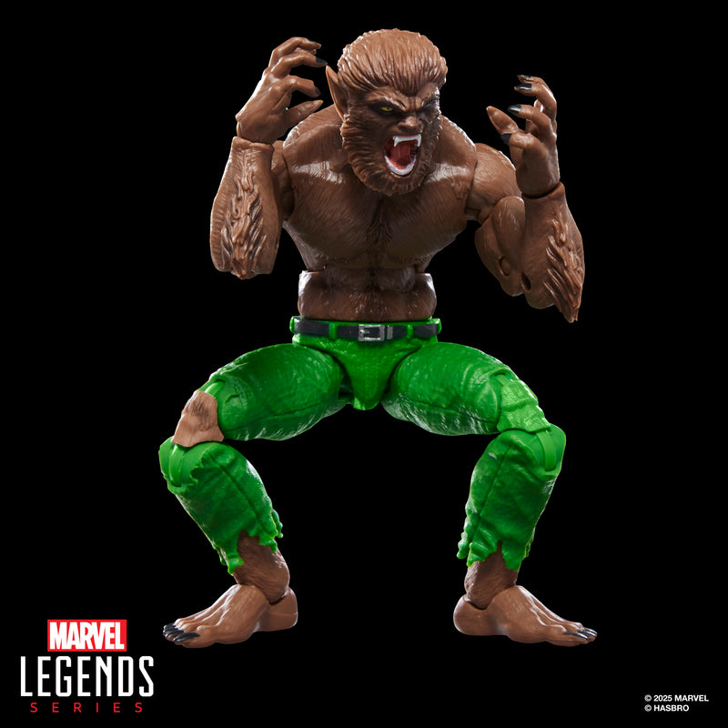 Load image into Gallery viewer, Marvel Legends - Werewolf By Night
