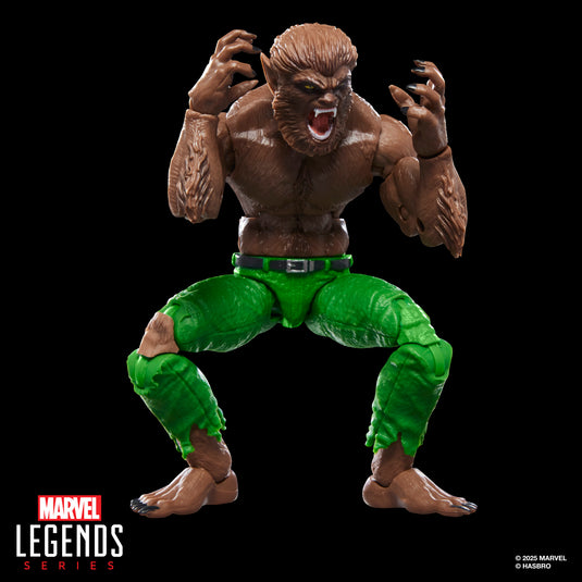 Marvel Legends - Werewolf By Night