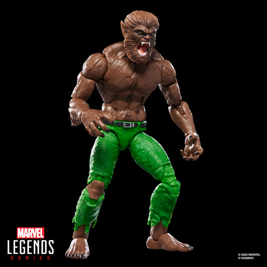 Marvel Legends - Werewolf By Night
