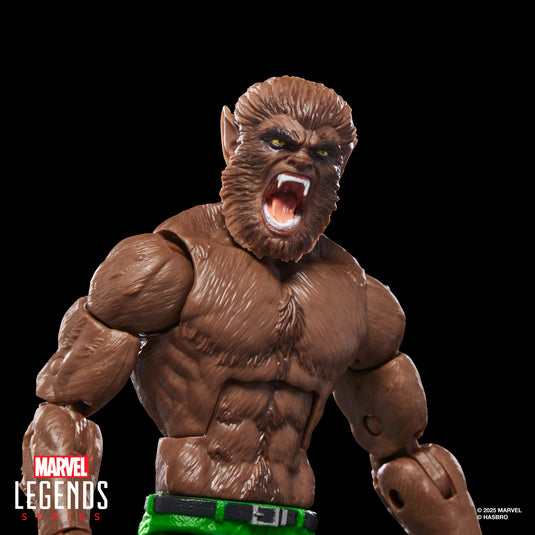 Marvel Legends - Werewolf By Night