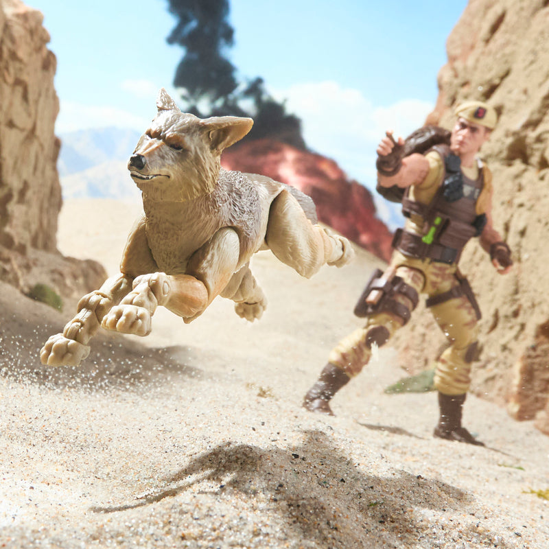 Load image into Gallery viewer, G.I. Joe Classified Series - Dusty &amp; Coyote Sandstorm #217

