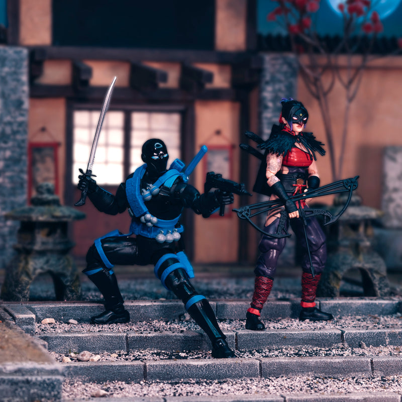 Load image into Gallery viewer, G.I. Joe Classified Series - Ninja Force Snake Eyes &amp; Kim (Jinx) Arashikage #223
