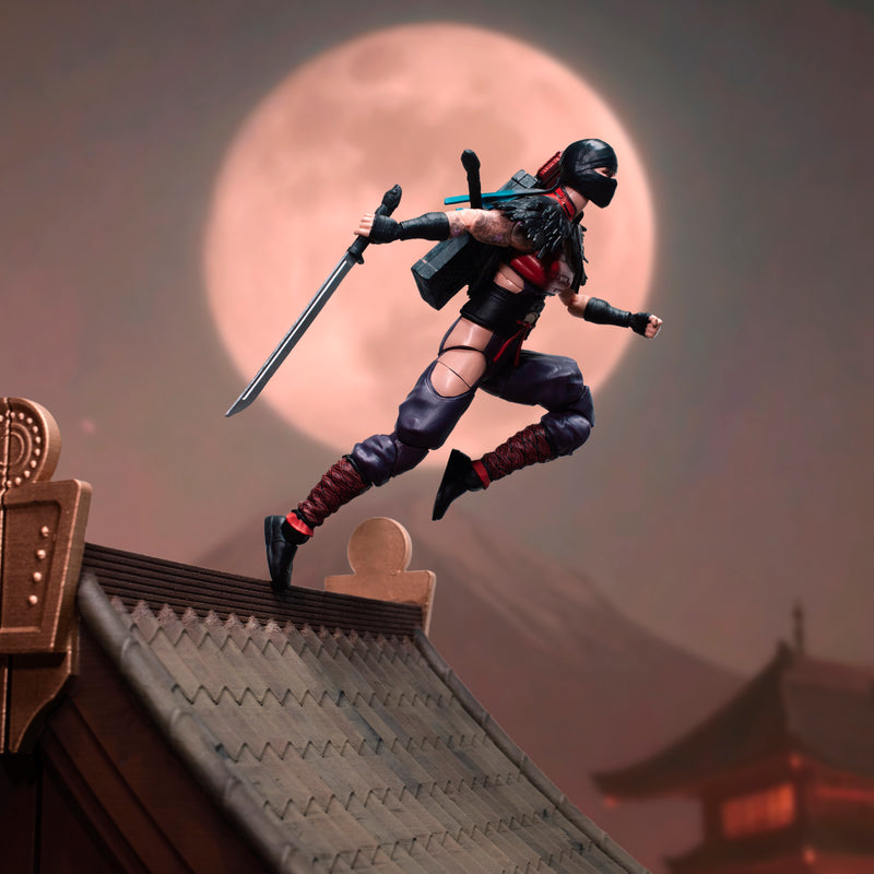 Load image into Gallery viewer, G.I. Joe Classified Series - Ninja Force Snake Eyes &amp; Kim (Jinx) Arashikage #223
