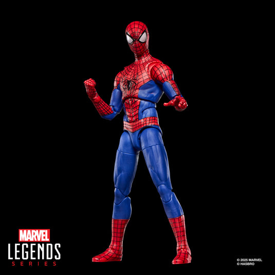 Marvel Legends - The Amazing Spider-Man (Spider-Man No Way Home)