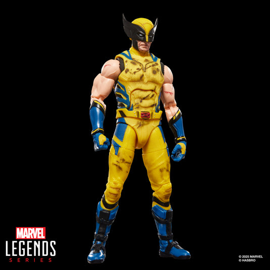 Marvel Legends Series - Wolverine