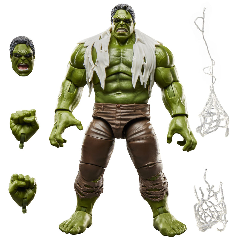 Load image into Gallery viewer, Marvel Legends Series - Hulk (Spider-Man Brand New Day)
