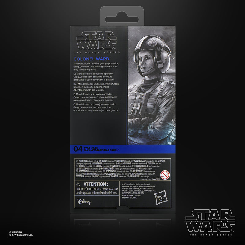 Load image into Gallery viewer, Star Wars The Black Series - Colonel Ward
