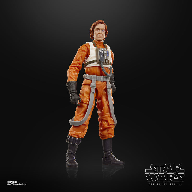 Load image into Gallery viewer, Star Wars The Black Series - Colonel Ward
