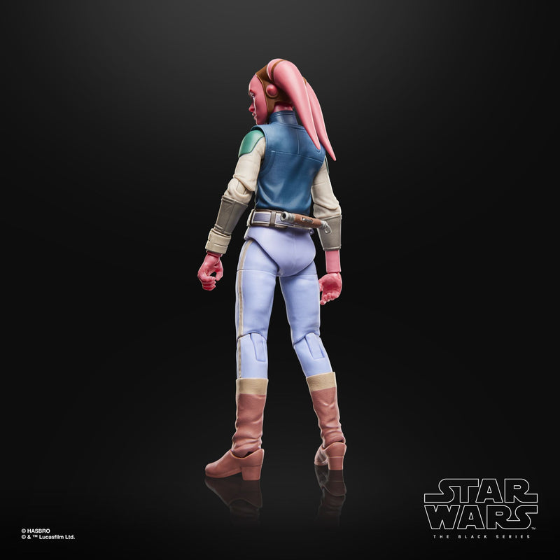 Load image into Gallery viewer, Star Wars The Black Series - Devon Izara
