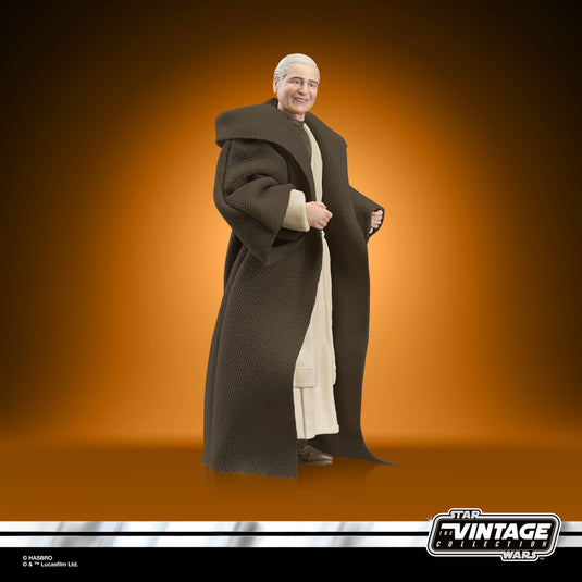 Star Wars The Vintage Collection - Anakin Skywalker