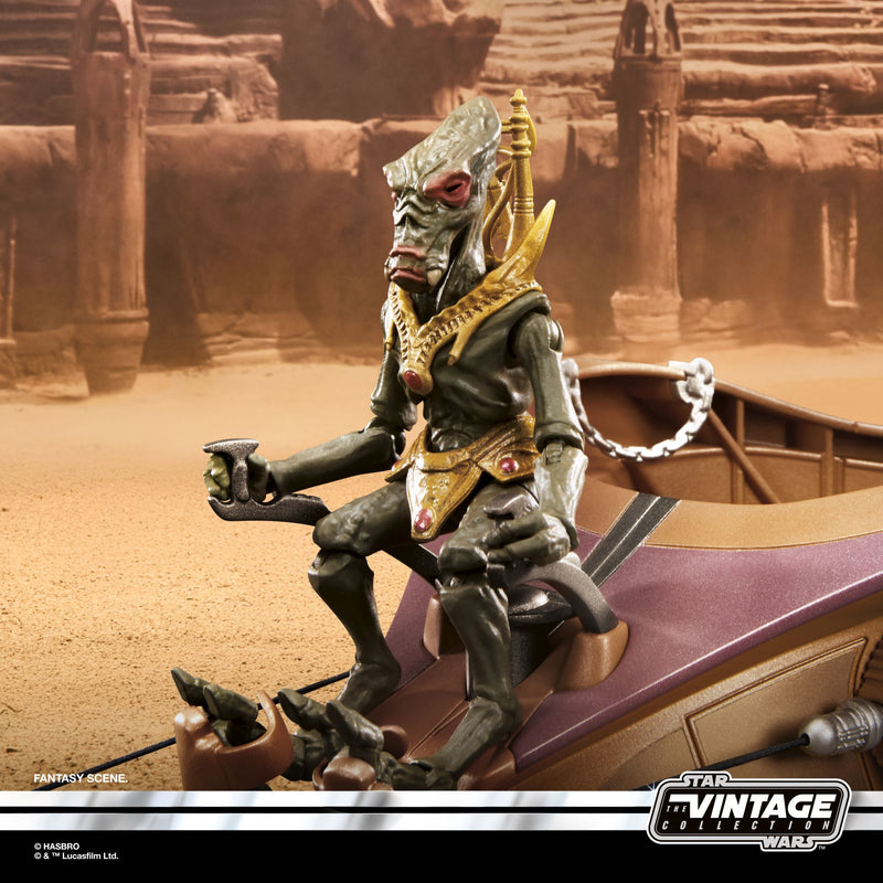 Load image into Gallery viewer, Star Wars The Vintage Collection - Orray &amp; Geonosian Picador
