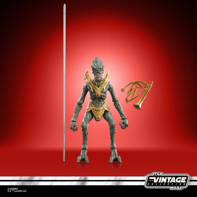 Load image into Gallery viewer, Star Wars The Vintage Collection - Orray &amp; Geonosian Picador

