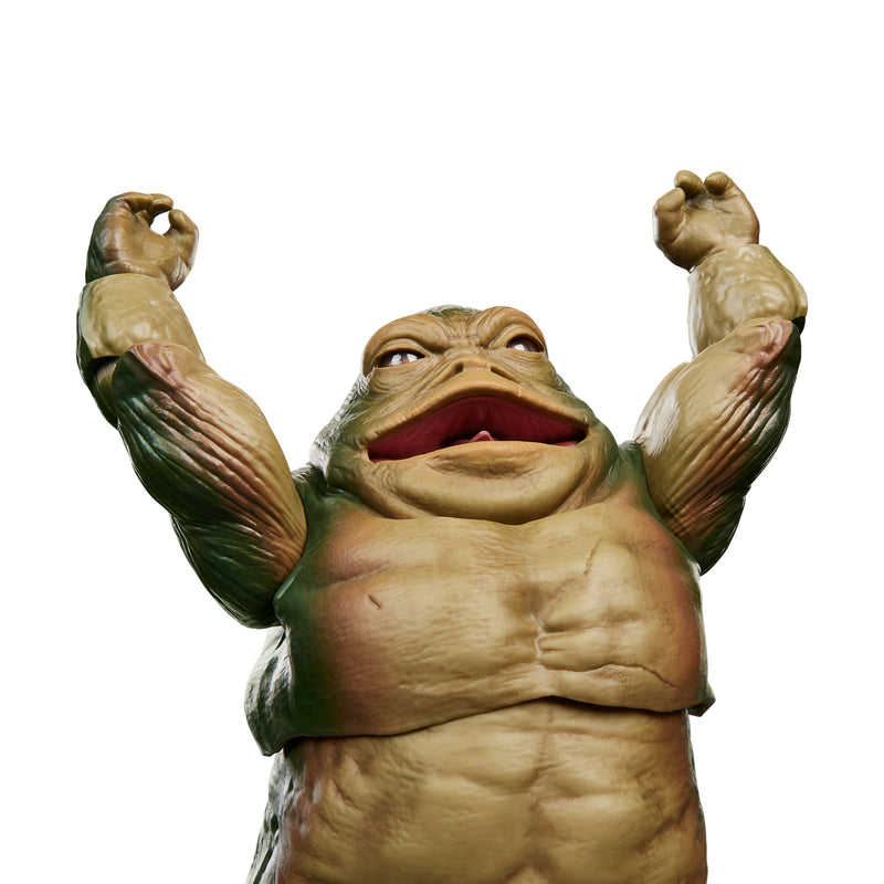 Load image into Gallery viewer, Star Wars The Black Series - Rotta the Hutt
