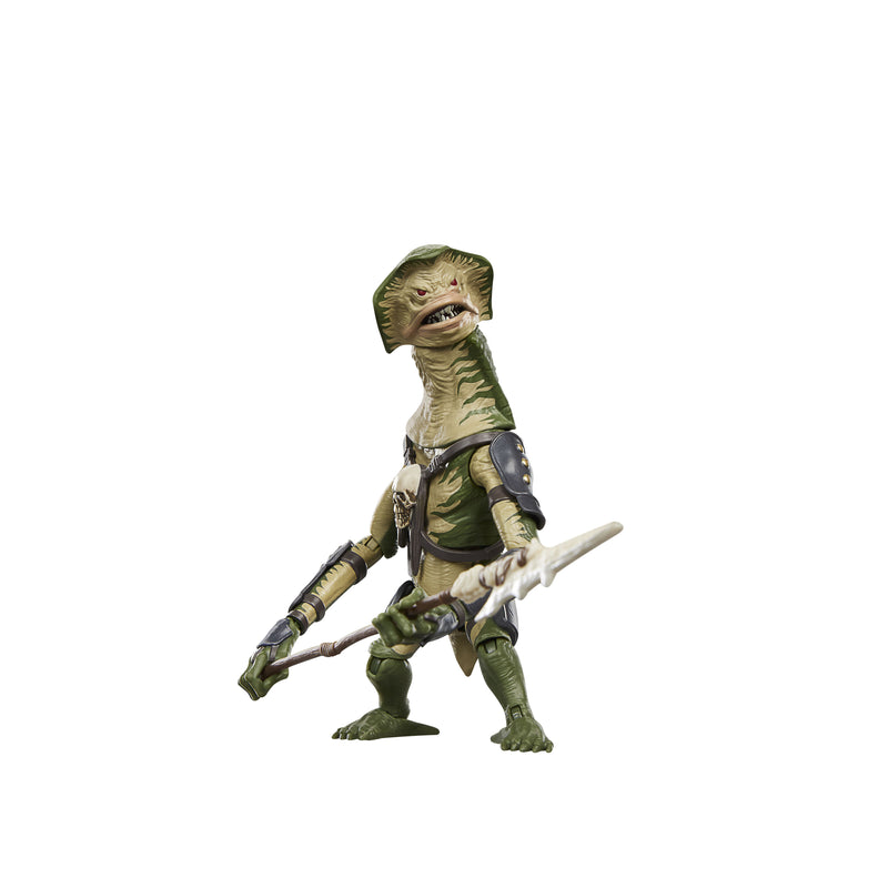 Load image into Gallery viewer, Star Wars The Vintage Collection - Amani Guard
