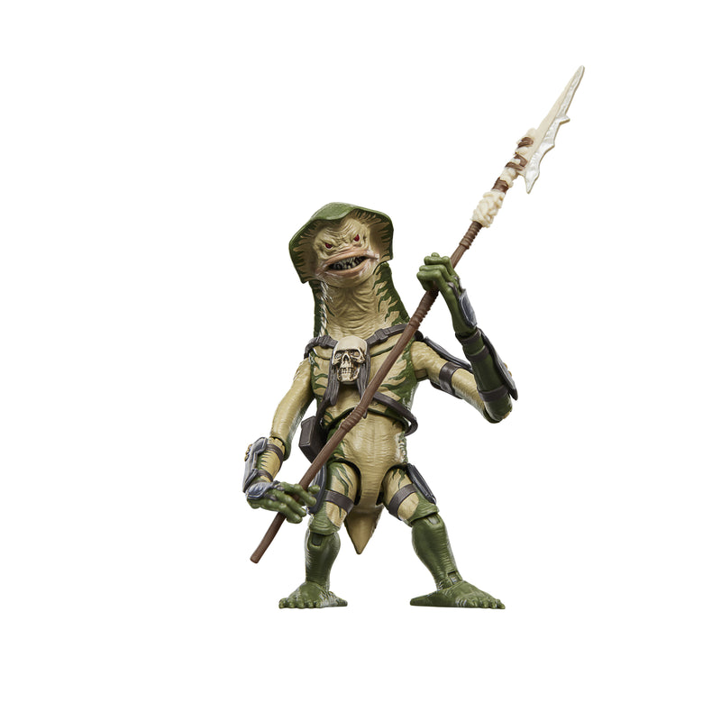 Load image into Gallery viewer, Star Wars The Vintage Collection - Amani Guard
