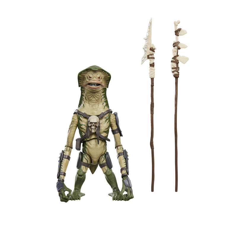 Load image into Gallery viewer, Star Wars The Vintage Collection - Amani Guard

