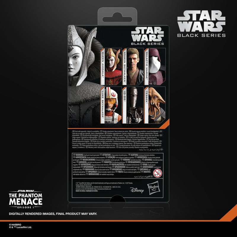 Load image into Gallery viewer, Star Wars The Black Series - Queen Amidala

