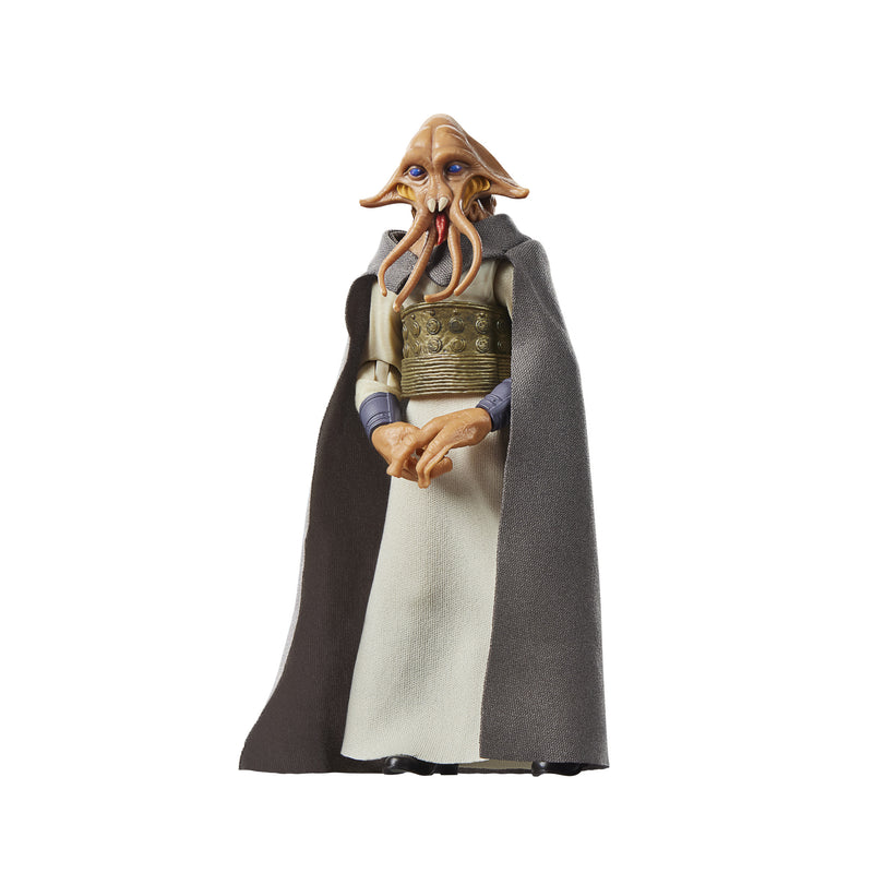 Load image into Gallery viewer, Star Wars The Black Series - Tessek
