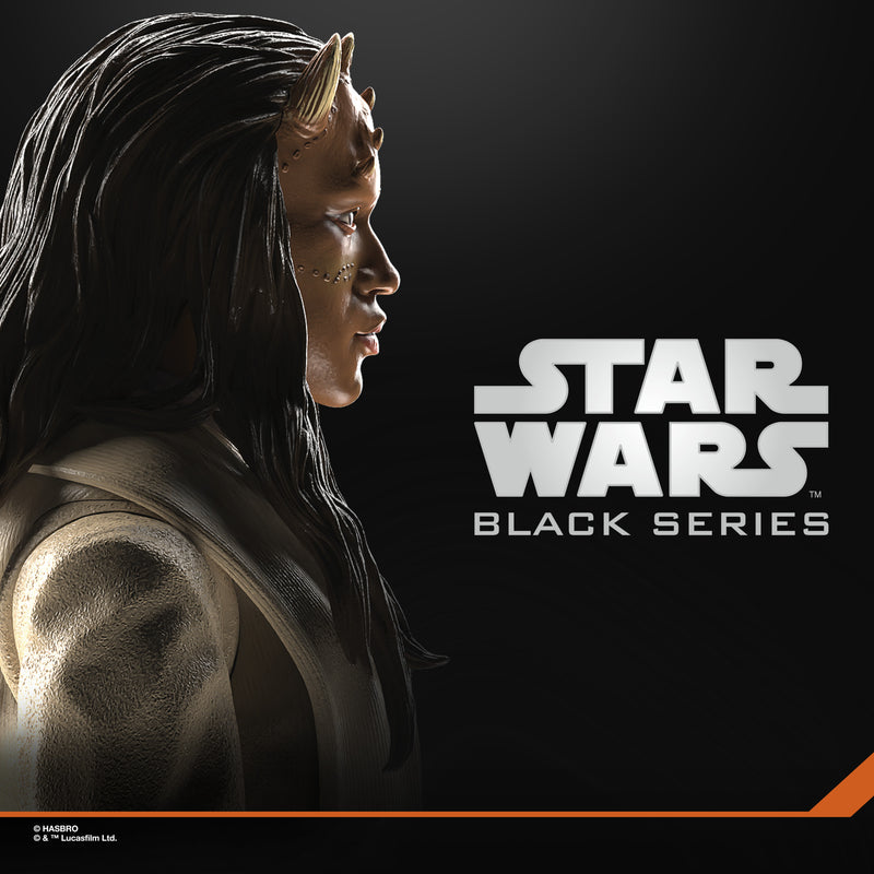 Load image into Gallery viewer, Star Wars The Black Series - Agen Kolar
