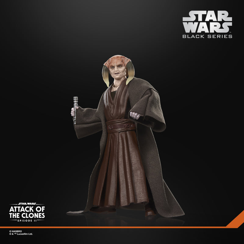 Load image into Gallery viewer, Star Wars The Black Series - Saesee Tiin
