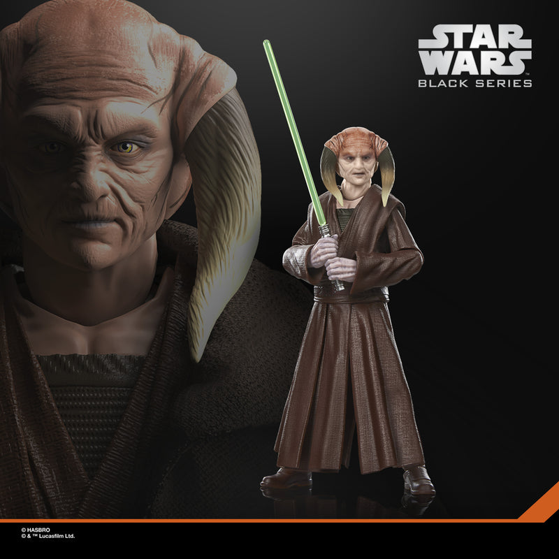 Load image into Gallery viewer, Star Wars The Black Series - Saesee Tiin
