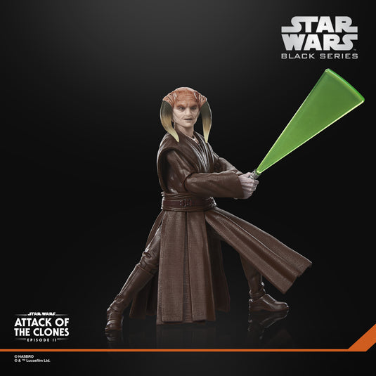 Star Wars The Black Series - Saesee Tiin
