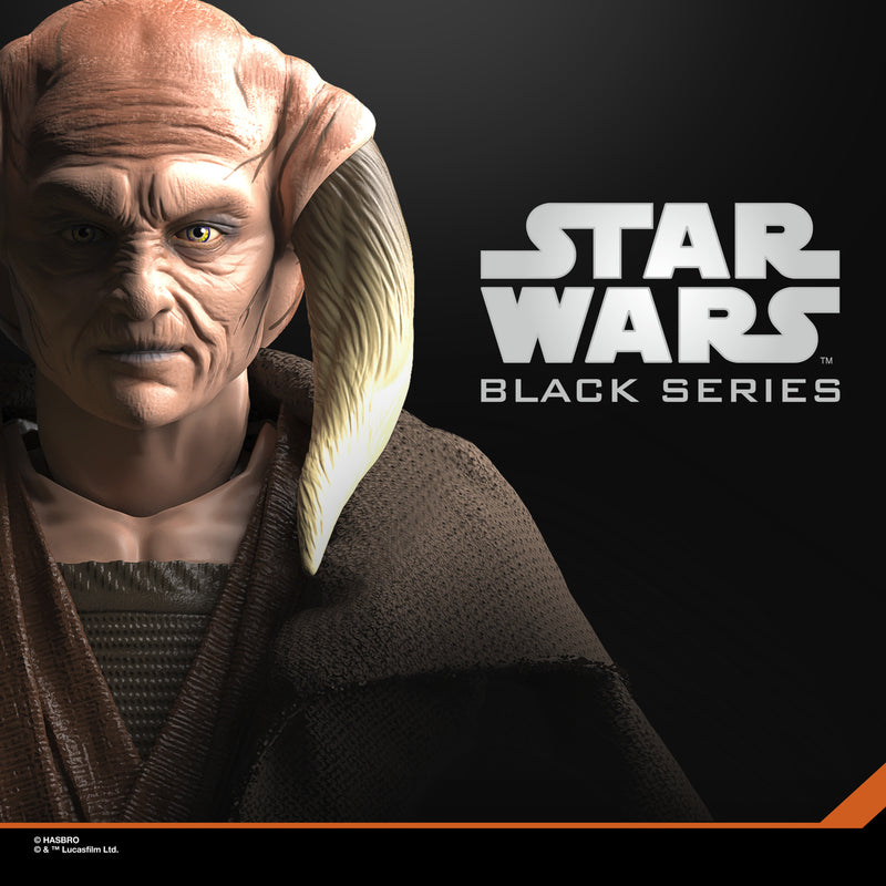 Load image into Gallery viewer, Star Wars The Black Series - Saesee Tiin
