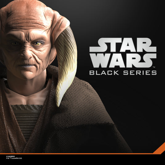 Star Wars The Black Series - Saesee Tiin