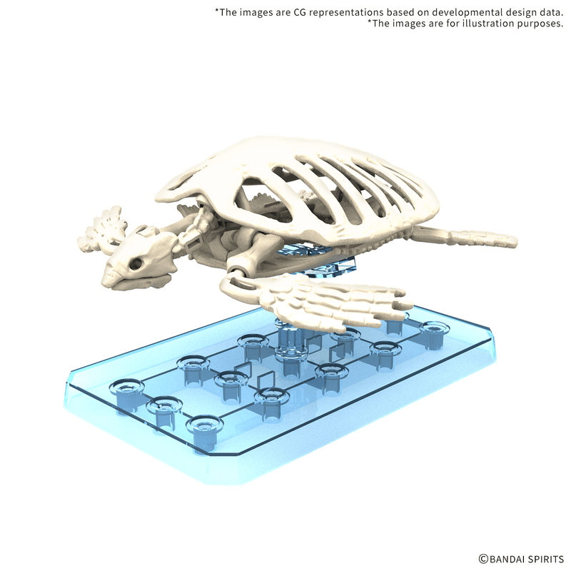 Load image into Gallery viewer, Bandai - Plannosaurus - Archelon
