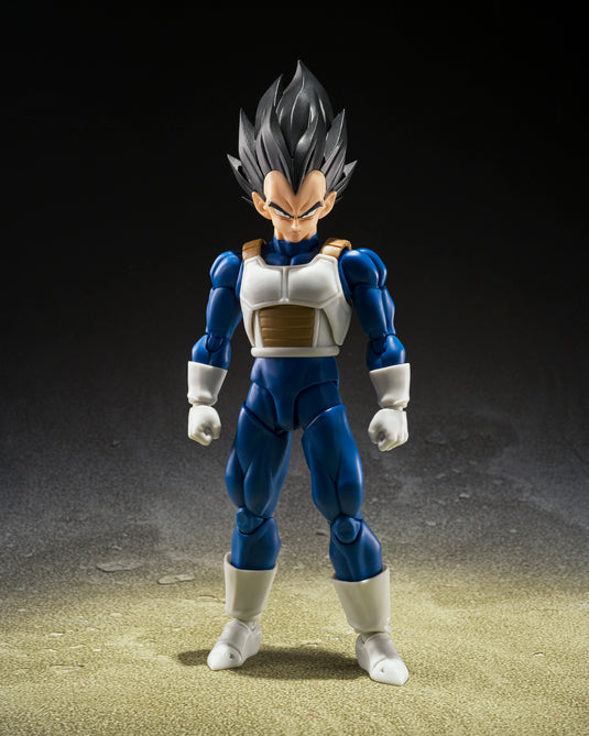 Bandai - S.H.Figuarts - Dragon Ball Z - Vegeta (Z Fighters)