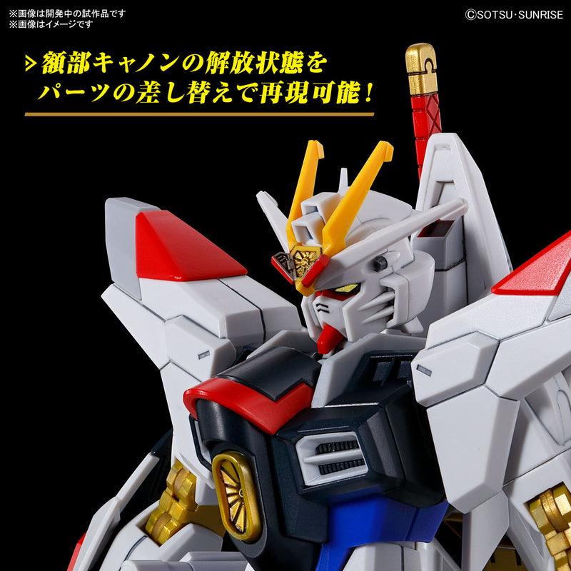 Load image into Gallery viewer, High Grade Gundam SEED Freedom 1/144 - Mighty Strike Freedom Gundam
