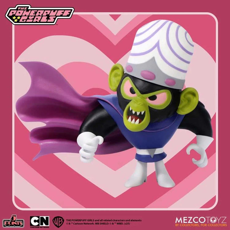 Load image into Gallery viewer, Mezco Toyz - The Powerpuff Girls 5 Points Series Set of 4
