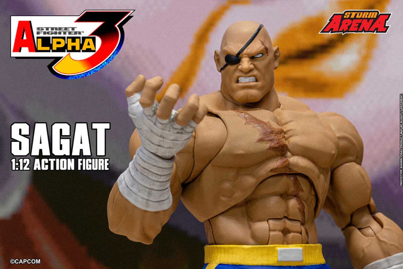 Load image into Gallery viewer, Storm Collectibles - Storm Arena: Street Fighter Alpha 3 - Sagat 1/12 Scale
