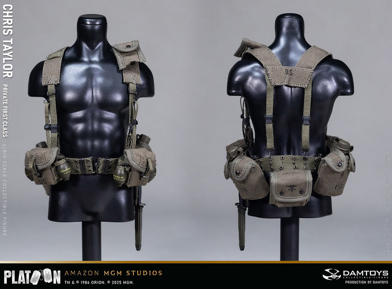 Load image into Gallery viewer, DAMTOYS - Platoon - Chris Taylor
