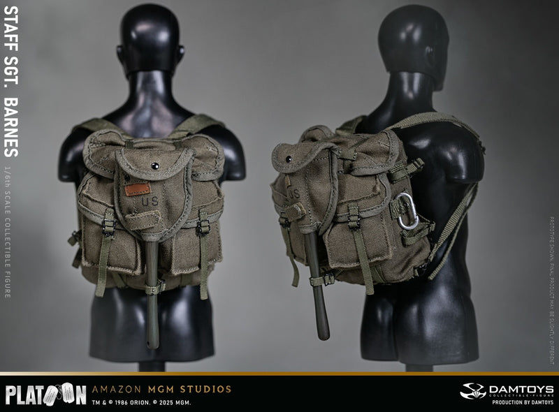 Load image into Gallery viewer, DAMTOYS - Platoon - Staff Sergeant Barnes
