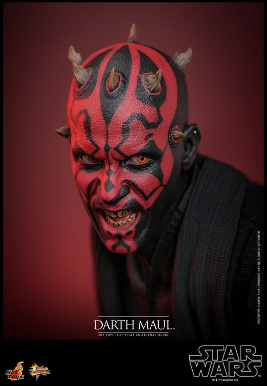 Hot Toys - Star Wars The Phantom Menace - Darth Maul