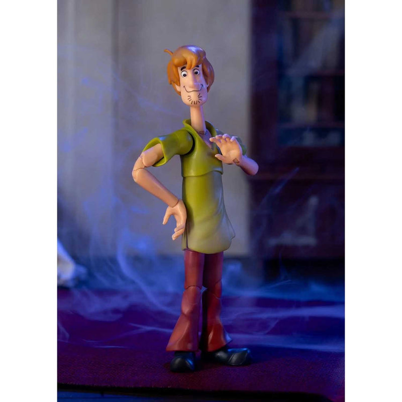 Load image into Gallery viewer, Jada Toys - Scooby-Doo! - Shaggy 1/12 Scale
